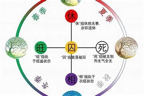 五行旺度|五行旺度是什么？